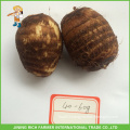 High Quality Chinese Fresh Taro 40g